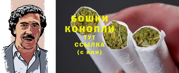 шишки Каменногорск