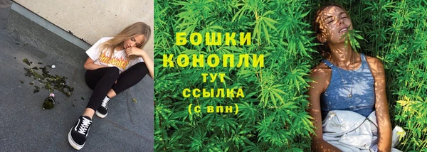 шишки Каменногорск
