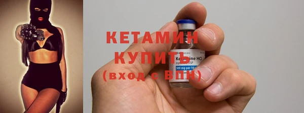 шишки Каменногорск