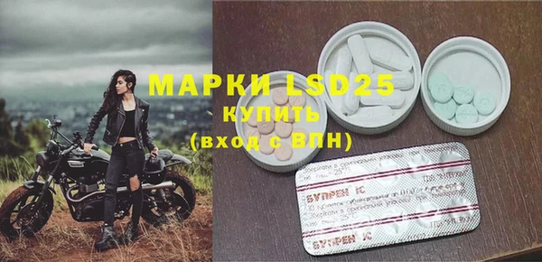 шишки Каменногорск