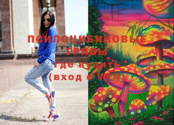 каннабис Каменка