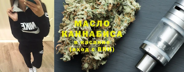 шишки Каменногорск