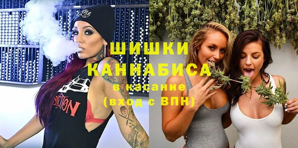 шишки Каменногорск