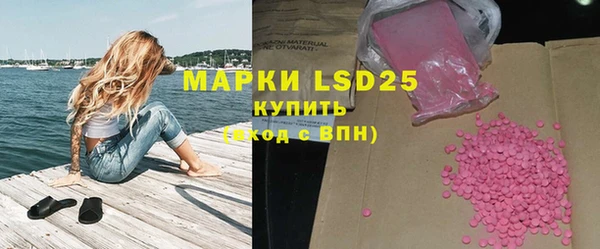 шишки Каменногорск