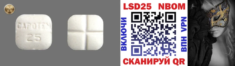 Купить закладки  Заринск  Лсд 25 экстази кислота 
