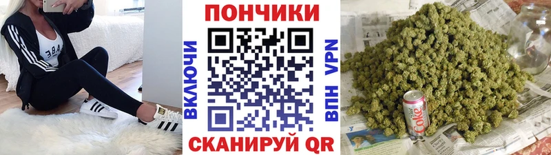 Купить закладки  Заринск  Бошки марихуана THC 21% 